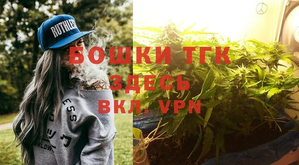 PSILOCYBIN Вязьма