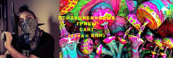 apvp Вязники