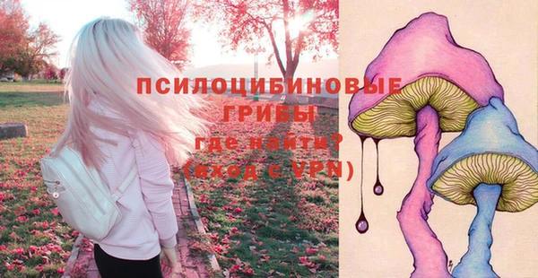 2c-b Вяземский