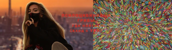 apvp Вязники