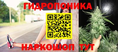 СК Балахна