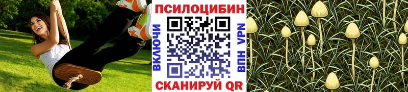 купить наркотик  Балаково  Галлюциногенные грибы мухоморы 