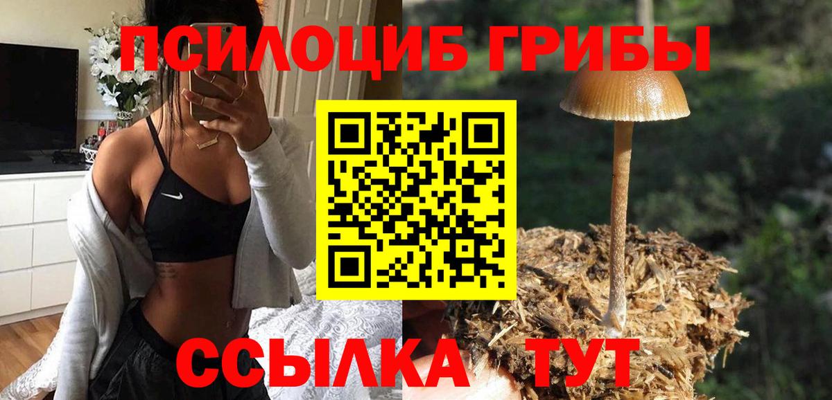 Балаково  Псилоцибиновые грибы Magic Shrooms  где купить наркоту  Вход с VPN 
