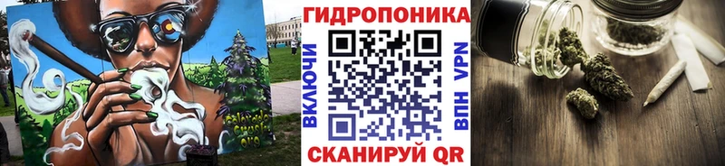 Бошки Шишки OG Kush  что такое   Балаково 